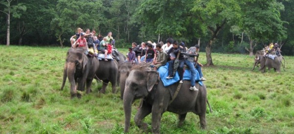 चितवन घुम्नेमा स्वदेशी भन्दा विदेशी पाहुनानै बढी