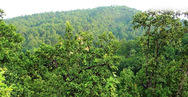 कार्बन बेचेर नेपालले एक अर्ब ६० करोड कमाउँदै