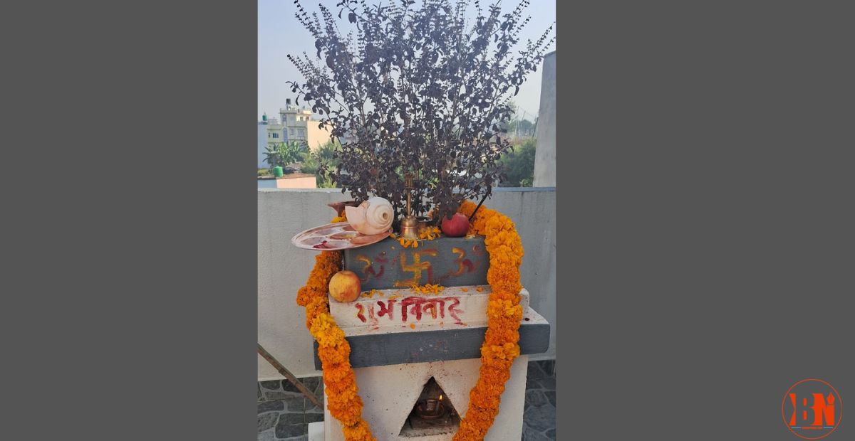 हरिबोधिनी एकादशी पर्व, घरघरमा तुलसीको विशेष पूजा आरधना गरिँदै